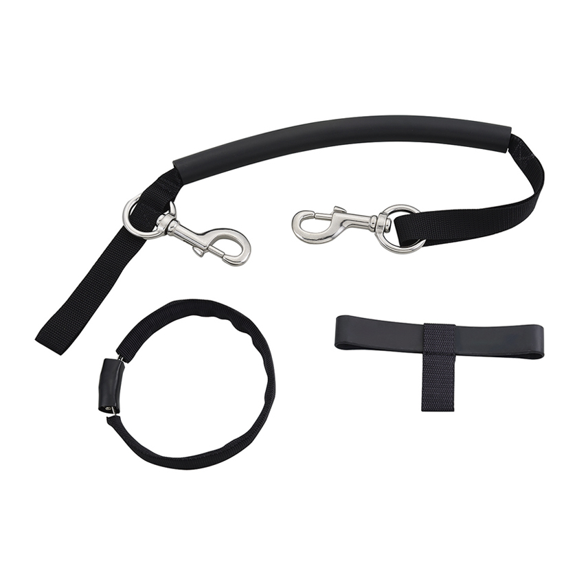 SD-TH-09 Complete external gas cylinder assembly